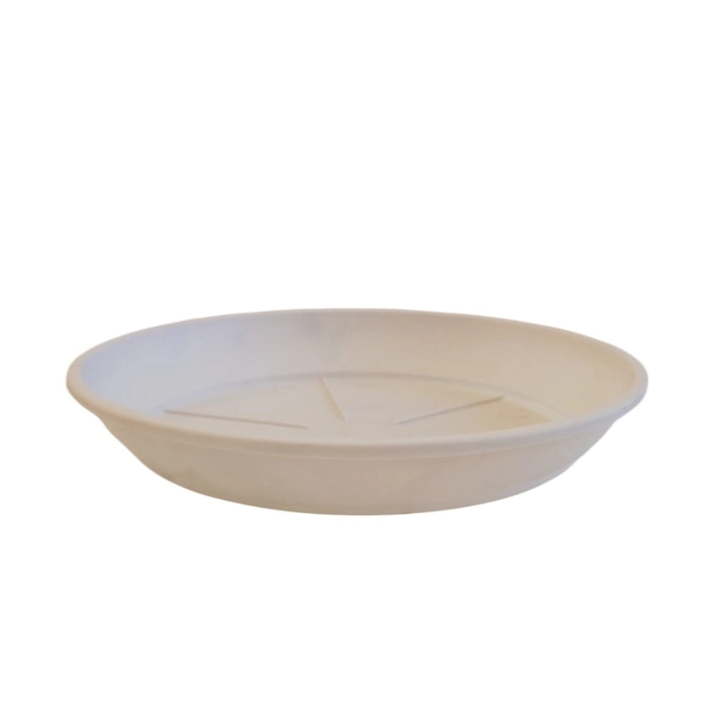 SOTTOVASO COLOR D.16XH2,5CM ASSORTITO