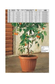 Vaso da giardino esterni colore terra marrone 45 cm bama