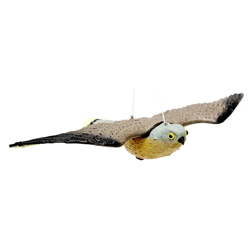 Falco dissuasore per volatili – modello realistico