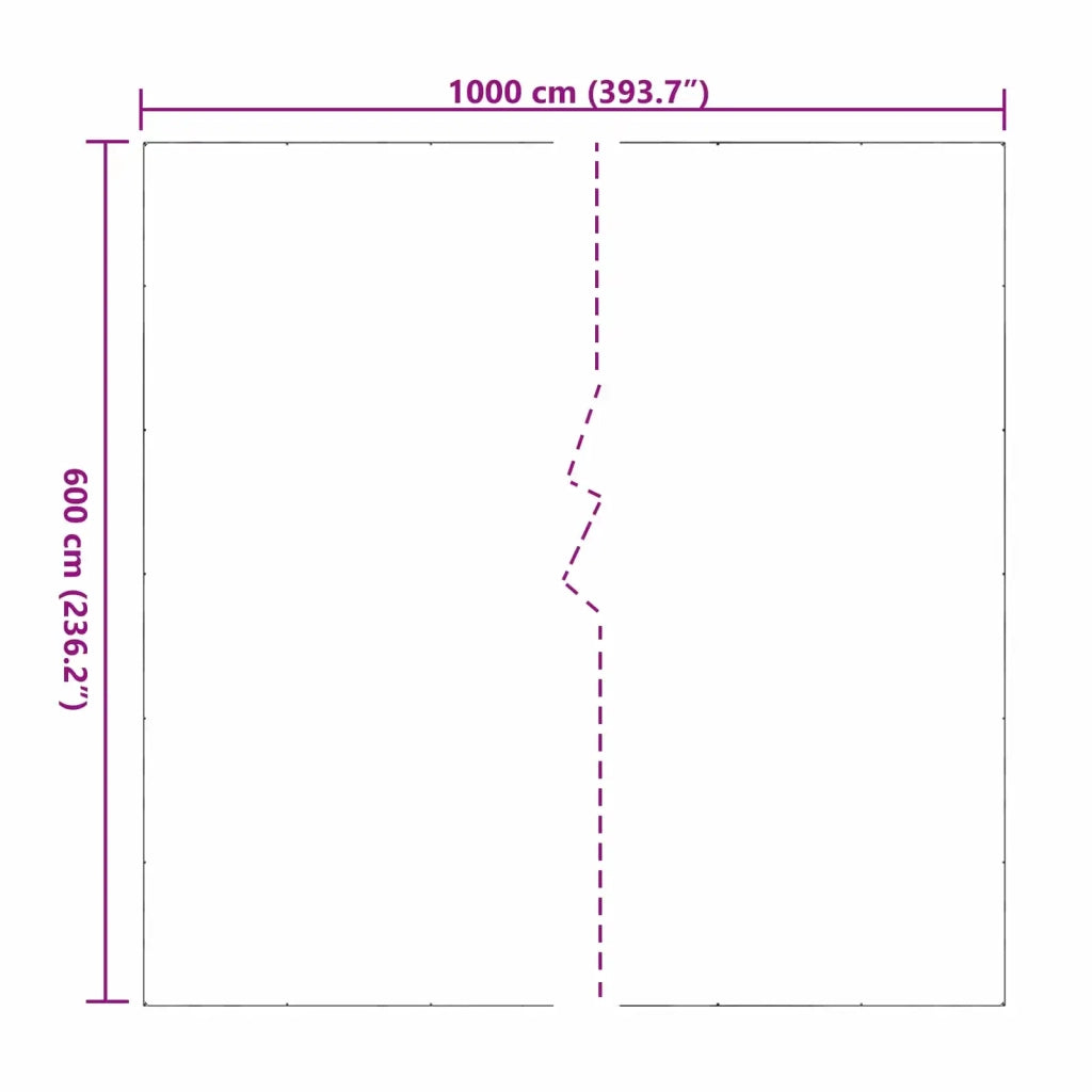 Copertura per Piante Trasparente 6 x 10 m PVC 3429364