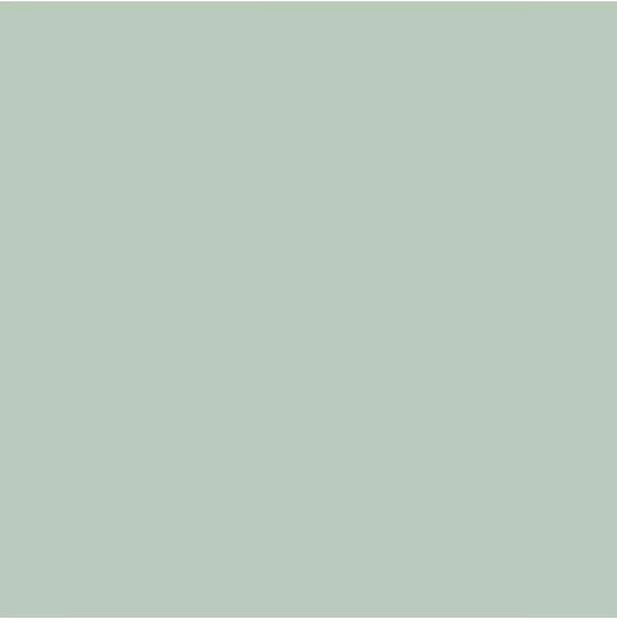 Idropittura Colorata Superlavabile per Interni HomeColor, Colore Salvia, 2.5L