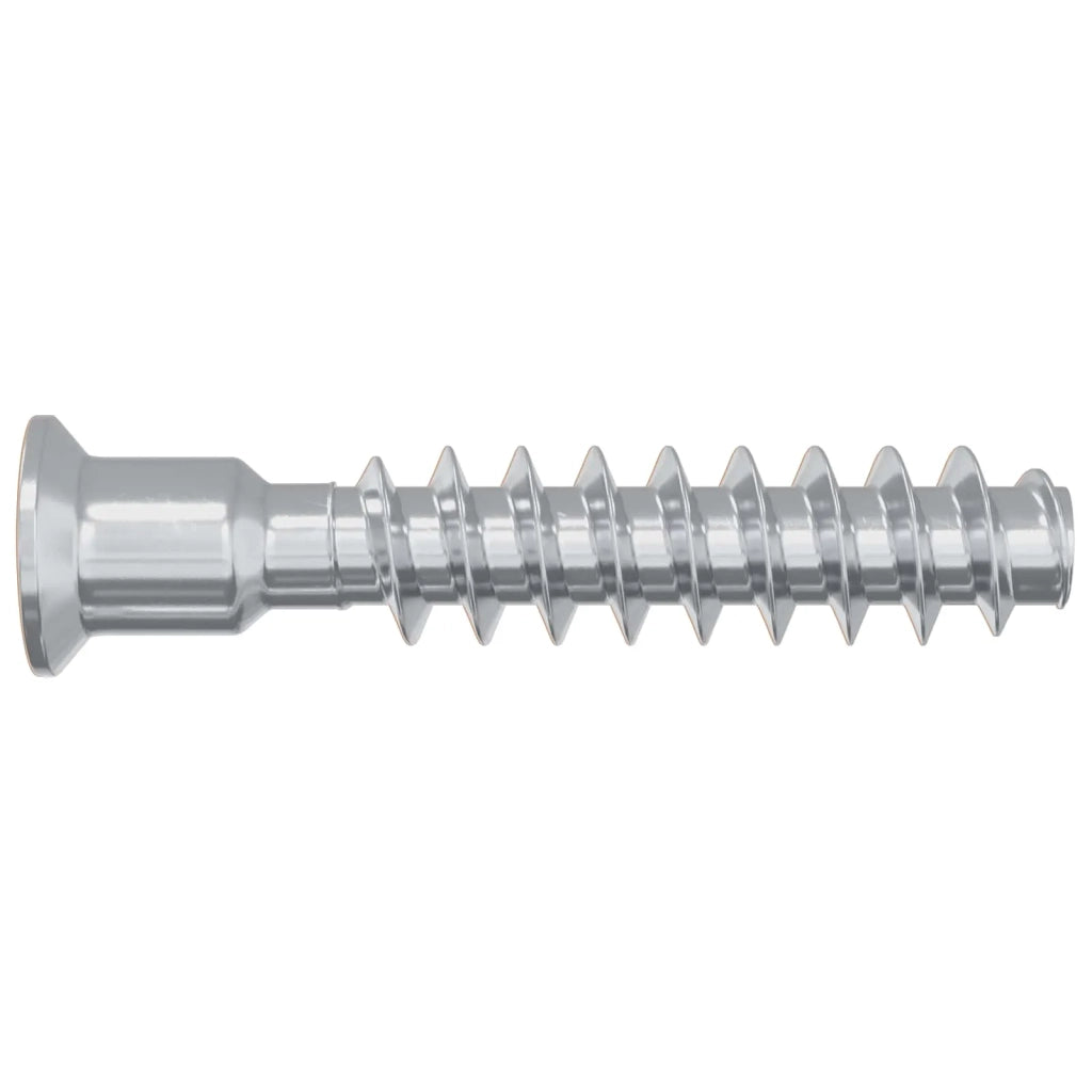 Vite a testa cilindrica 2 pz Argento M7 x 40 mm Acciaio CFW6288288