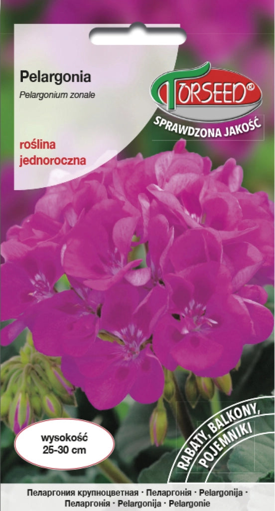 Pelargonium - Pelargonium viola F2 10g