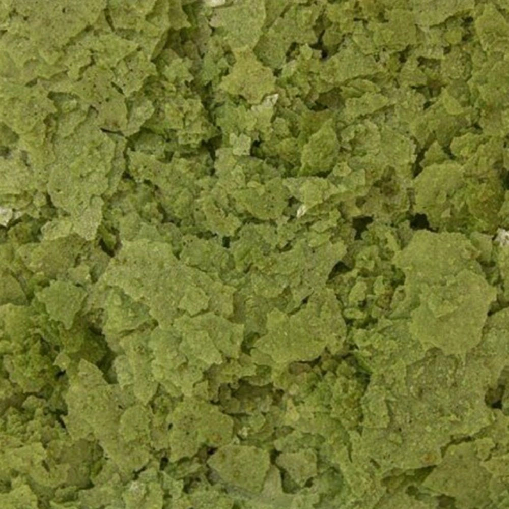 Ocean Nutrition Spirulina Flakes 34gr