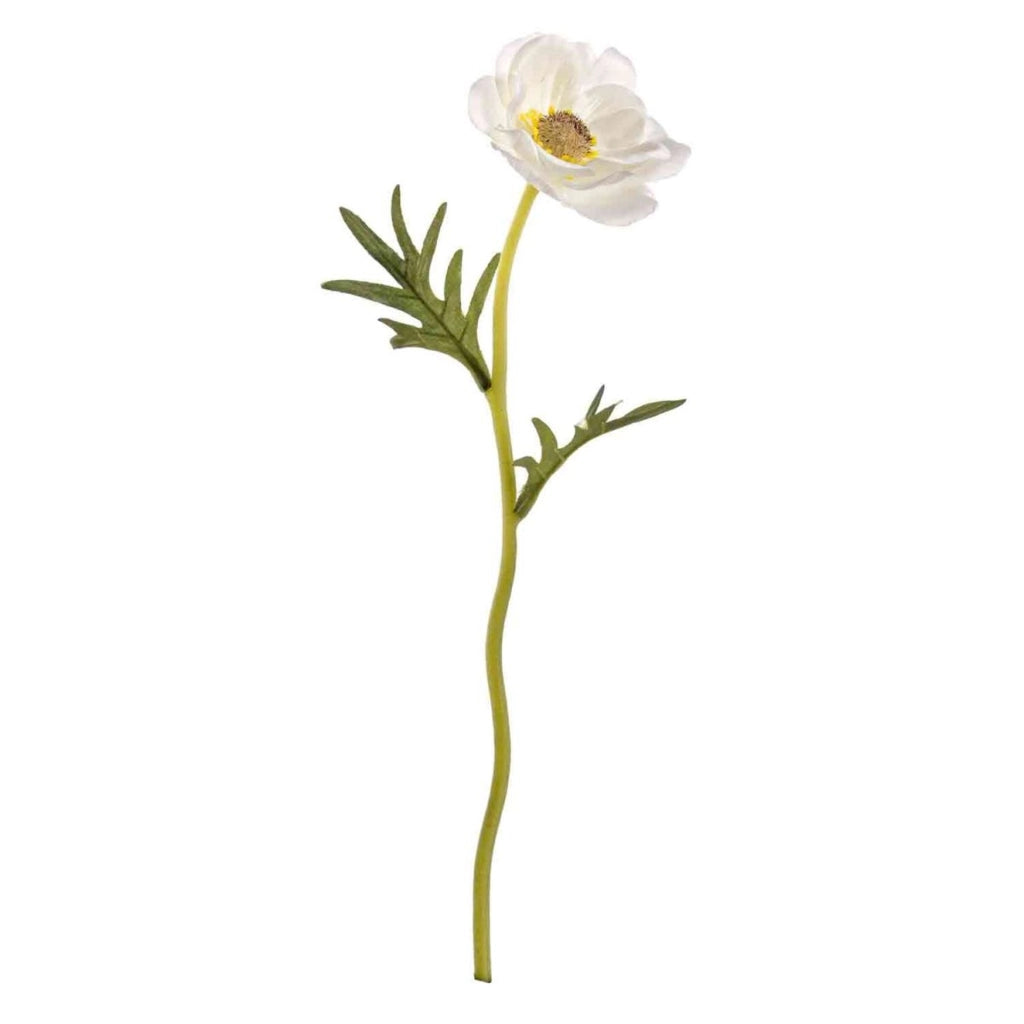 Anemone bianco 30cm