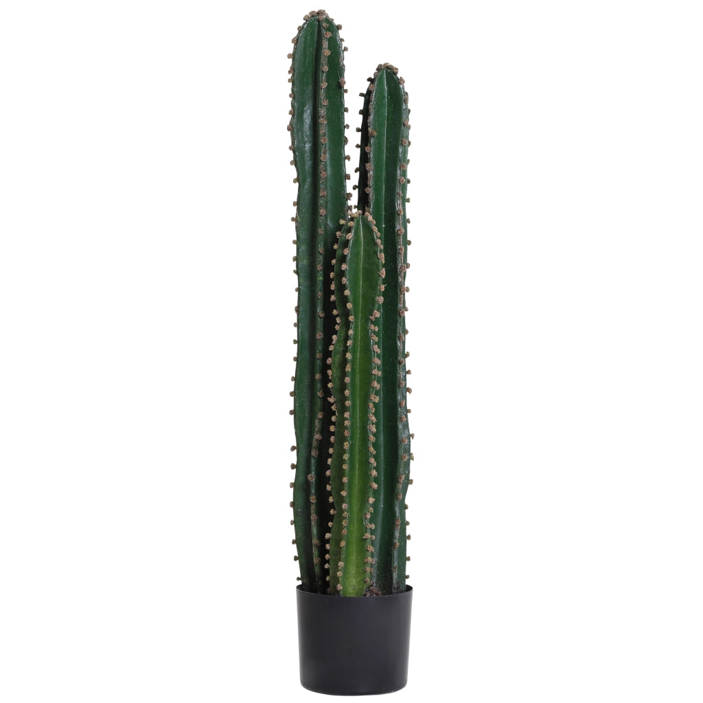 Pianta Artificiale Cactus Decorativo ¨C Xylo ¨C Verde ? 17 x 98H cm