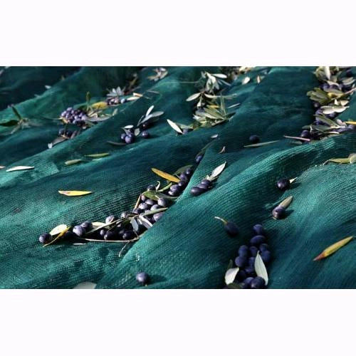 Telo Antispina Rete per raccolta Olive 8x8 mt - 33 gr/mq con Apertura Centrale colore Verde con Angoli Rinforzati