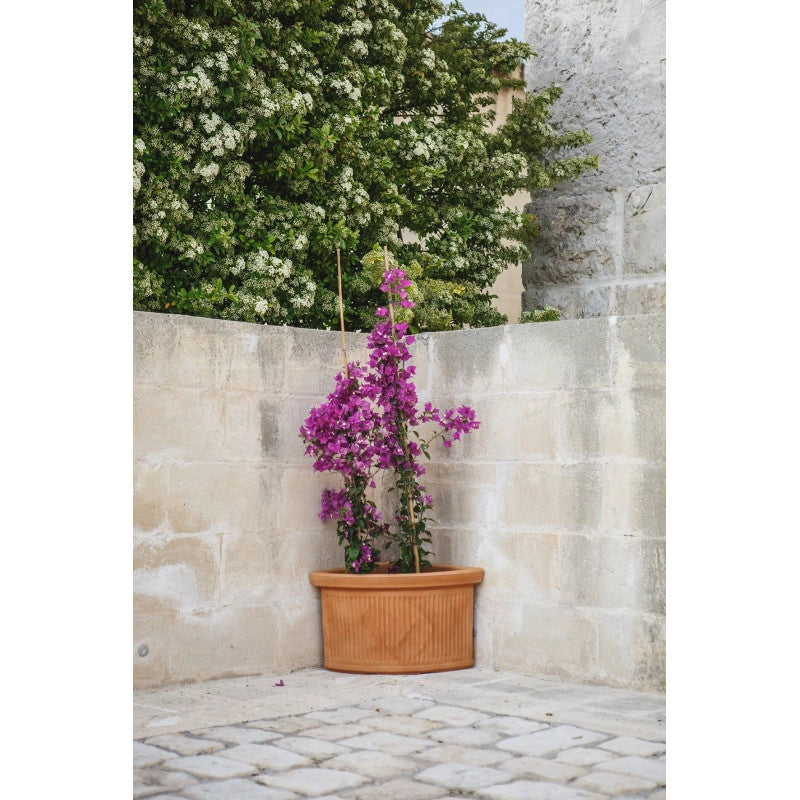 Vaso Fioriera angolare decorativa classica tradizionale 47x47 H38 in polimero resistente antracite per piante per giardini e terrazze - Made in Italy