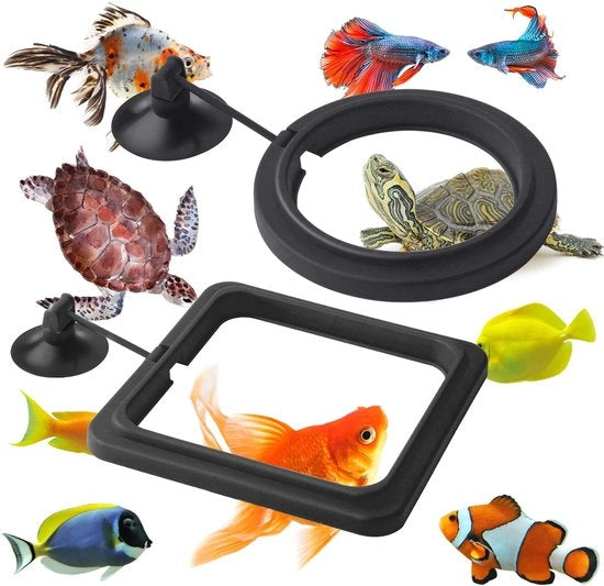 Accessori per acquario - Dispensatore di cibo per pesci 2 in 1 - Dimensioni 10 x 10 cm / 7,5 x 7,5 cm - Materiale PVC-rubber