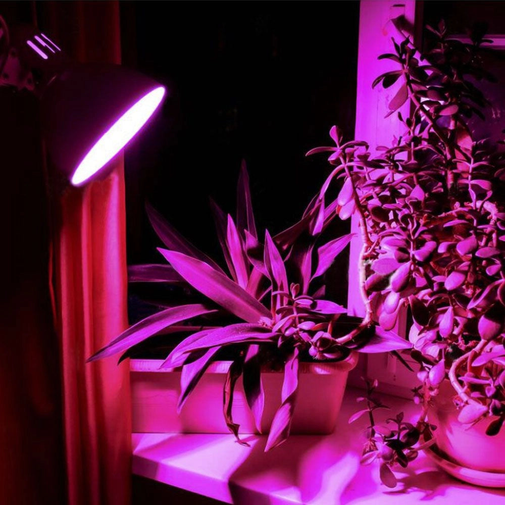 Lampadina LED Grow per piante A60 8W E27 290lm Videx