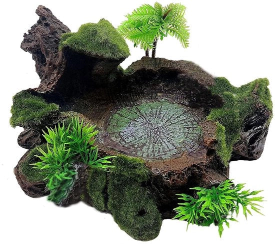Contenitori per alimentazione per rettili, contenitori alimentazione in resina per tartarughe, contenitori in vetro, piante decorative, lucertole, gechi, camaleonti, rane, ragni
