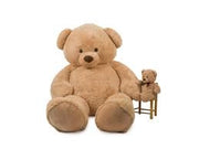 Decar-Orso peluche Beige 250 cm