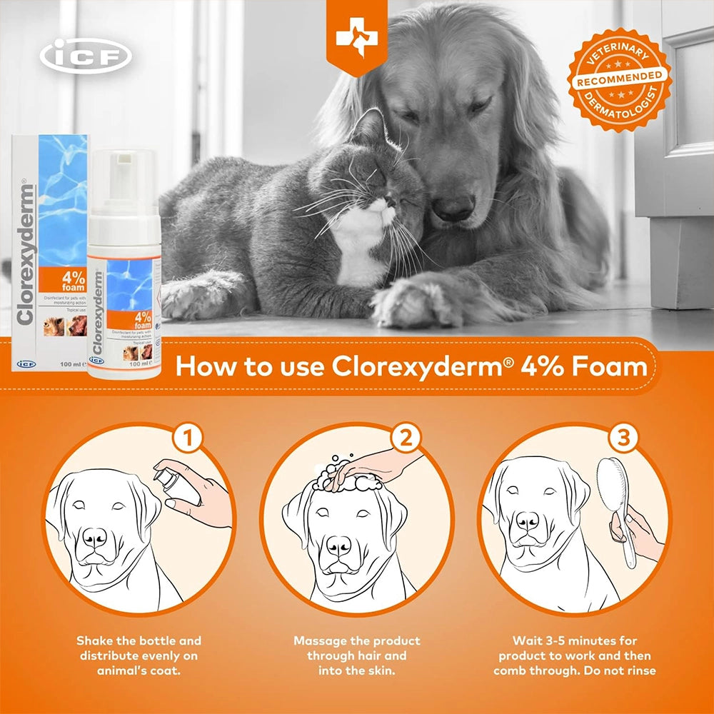 I.C.F. Clorexyderm Solution 4% - 100 ml