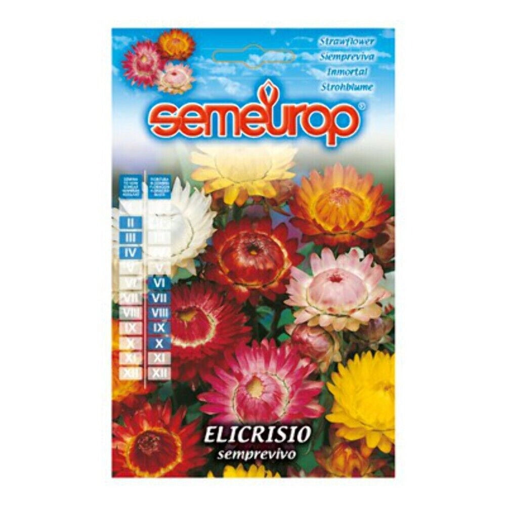 Elicrisio Semprevivo Set 5 Pezzi - Magnani Sementi