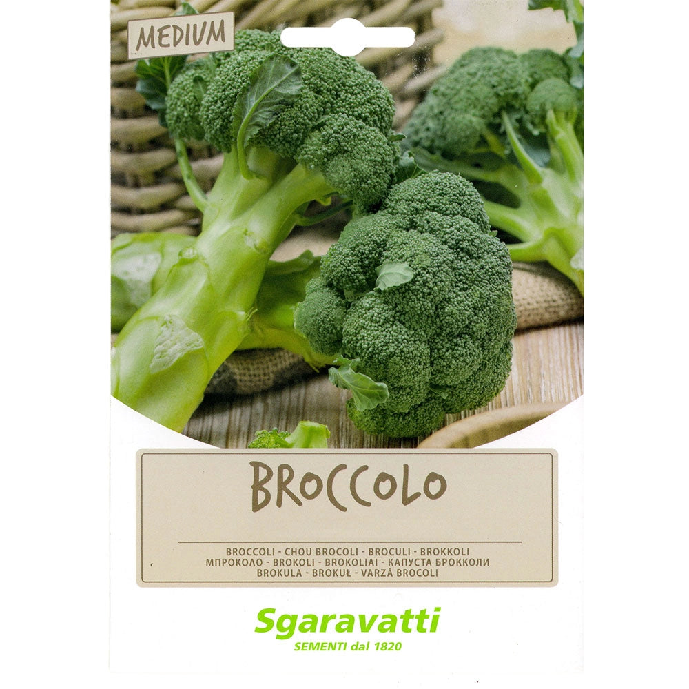 SEMI PER FAVE broccoletto cinquantino - gr 100  - SGARAVATTI