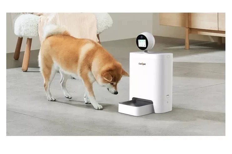Carepet - Distributore cibo AI pet feeder (PTC01)