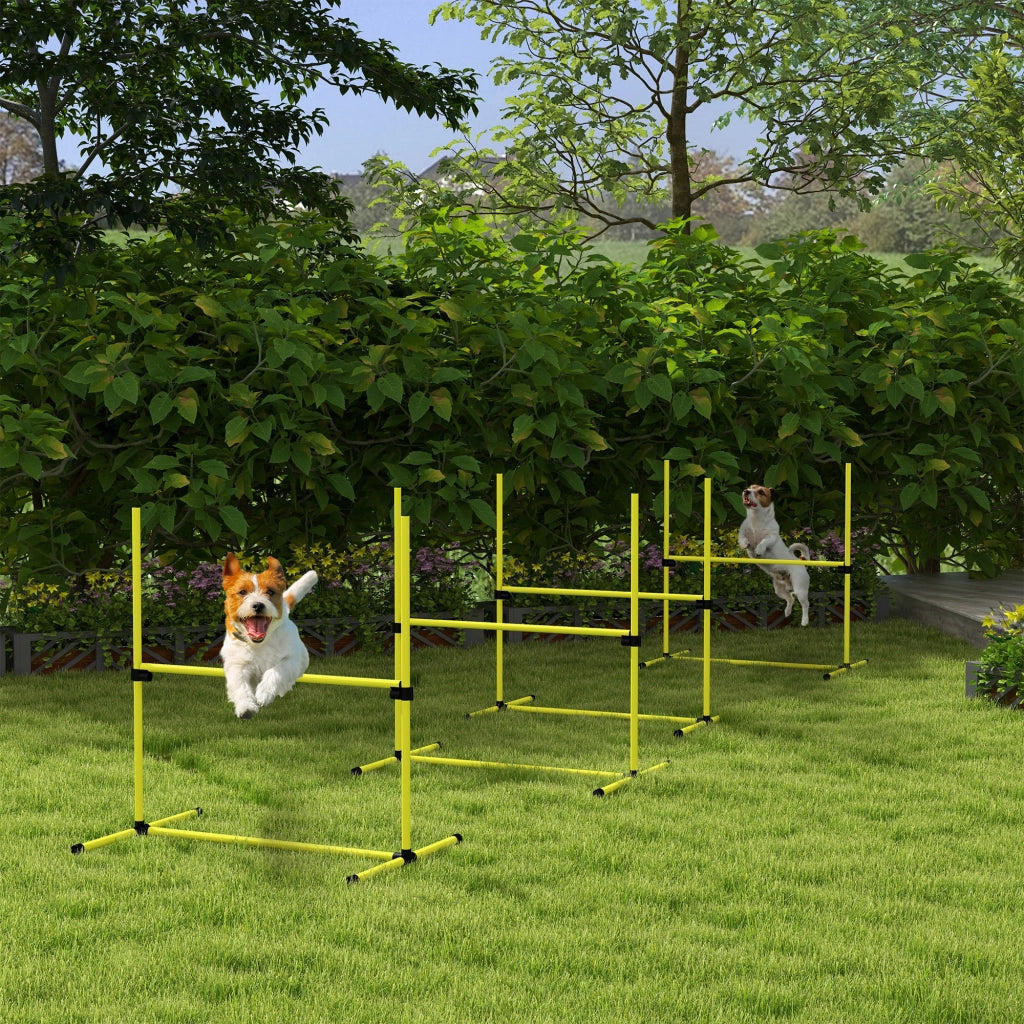 Set Ostacoli Agility per Cani ¨C Xylo ¨C 4 Pezzi Professionale con Borsa