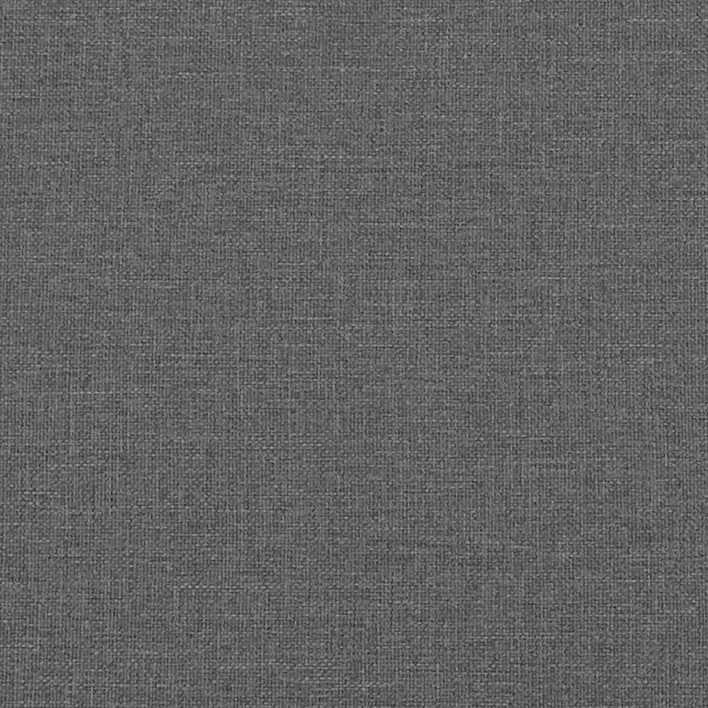 Cuscini da Divano 2 pcs Grigio scuro 80 x 80 cm Tessuto 42014041