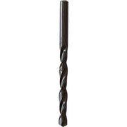 PUNTA ELICOIDALE 'RULLATA' 3 mm - 10 pezzi- ECEF