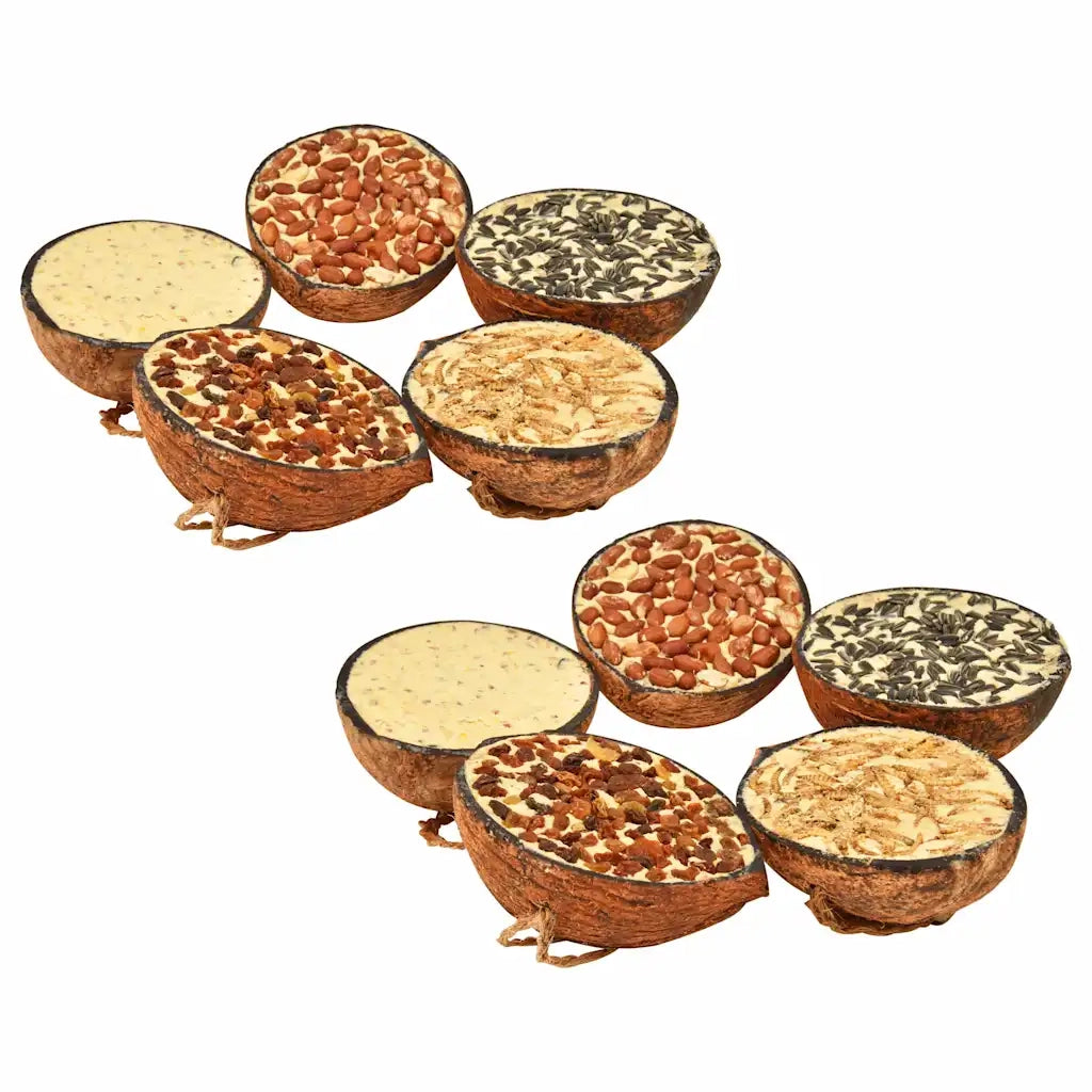 Noci di Cocco Ripiene di Cibo per Uccelli 10 pz 290 g 170901