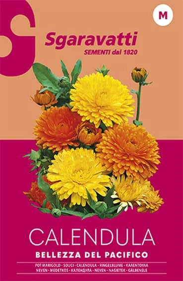 SEMI PER PRATO UNIVERSALE calendula bellezza del pacifico- 10 pezzi  - SGARAVATTI