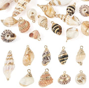 Set di 18 Conchiglie Naturali per Creare Gioielli