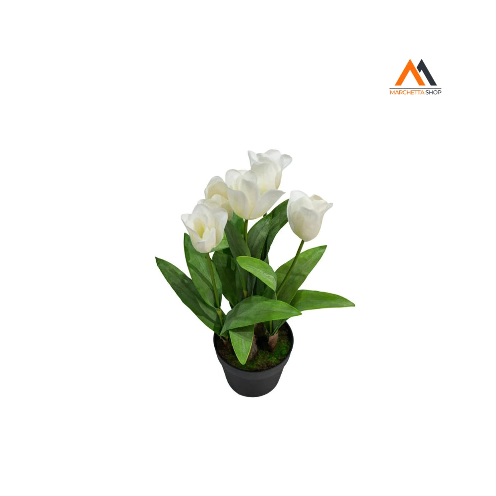 TULIPANO OLANDESE BIANCO IN VASO H54CM