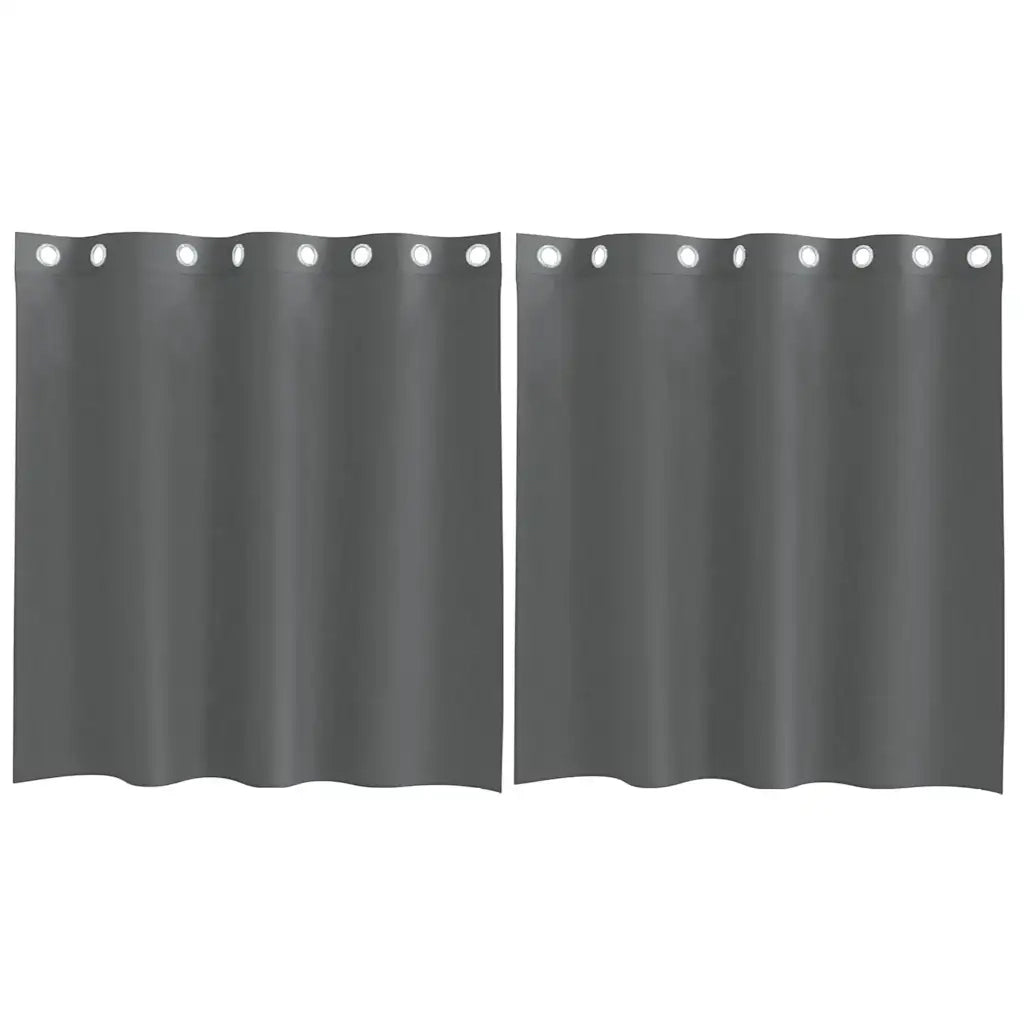 Tende in Voile con Occhielli 2 pz Grigio Scuro 140x140 cm