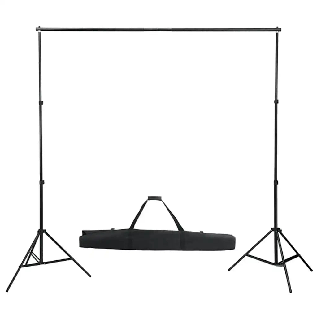 Kit per Studio Fotografico con Set Luci, Fondale e Riflettore 3094660