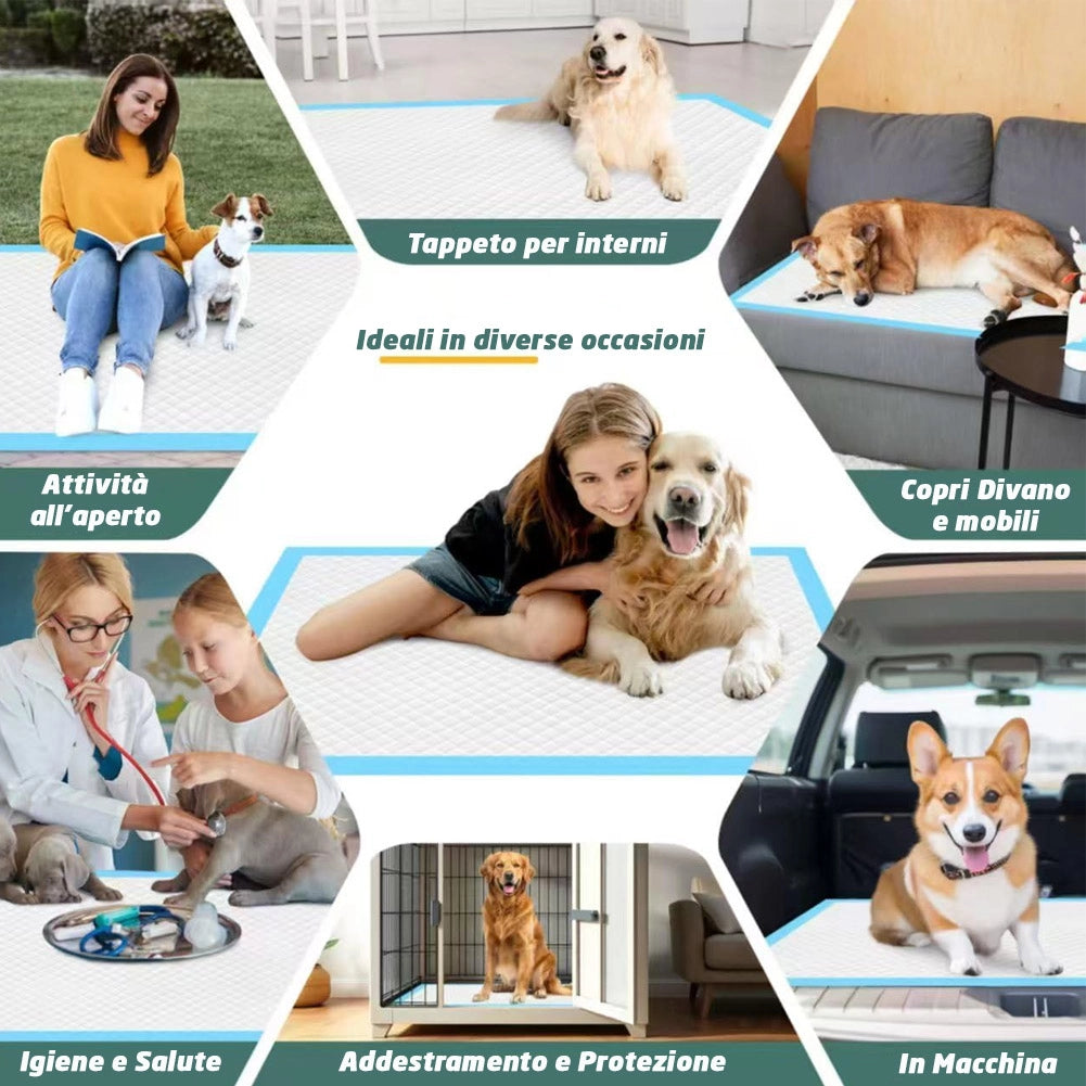120 x Traversine per Cani tappetini igienici con adesivi Super assorbenti 60x90 cm