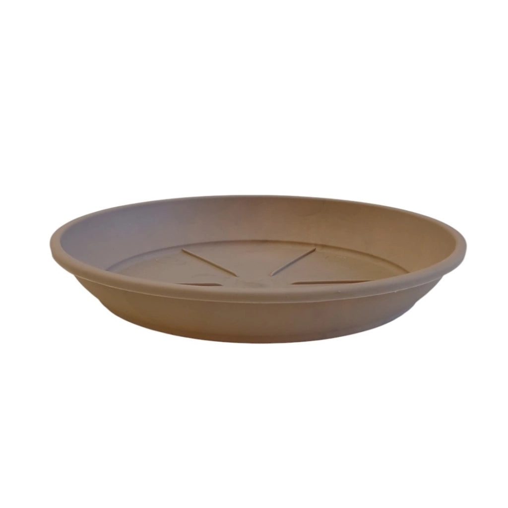 SOTTOVASO COLOR D.18XH3CM ASSORTITO