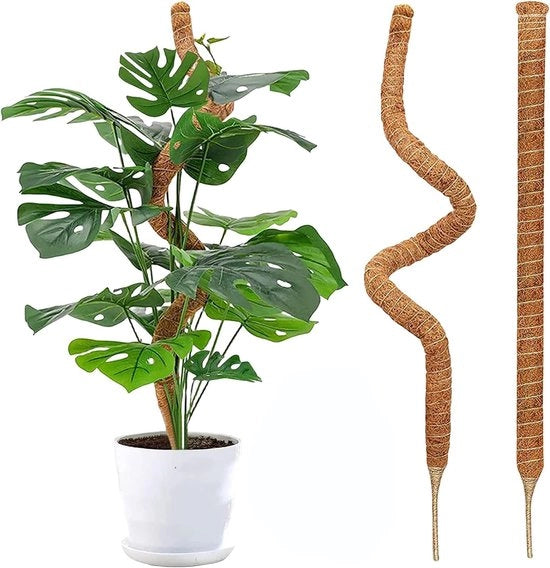 Due paletti flessiformi per Monstera, paletti per piante da appartamento, nucleo ingrossato, paletto artigianale per piante, sostegno per piante da vaso per il crescita delle piante rampicanti con nucleo ingrossato 8-10mm, lunghezza 120-150cm