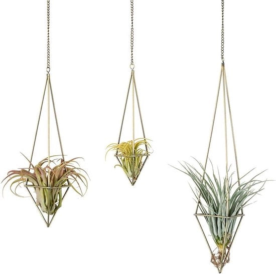 Display per Tillandsia per Decorazione di Ufficio - 3 Pacchi di Oreficeria per Sospensione di Pianta - Piantagione Geometrica Moderna con Catena - Catena per Tillandsia in Bronzo