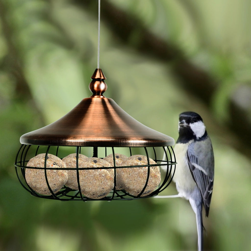 Mangiatoia per uccelli per palline di grasso, Mangiatoia da appendere all¡¯esterno con filo in acciaio inox-Altri animali