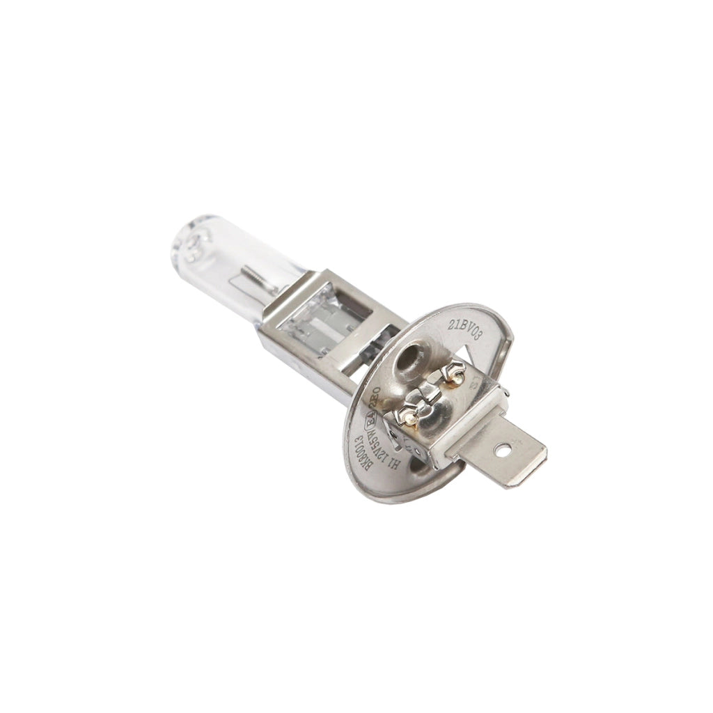 Lampadina H1 12V 55W