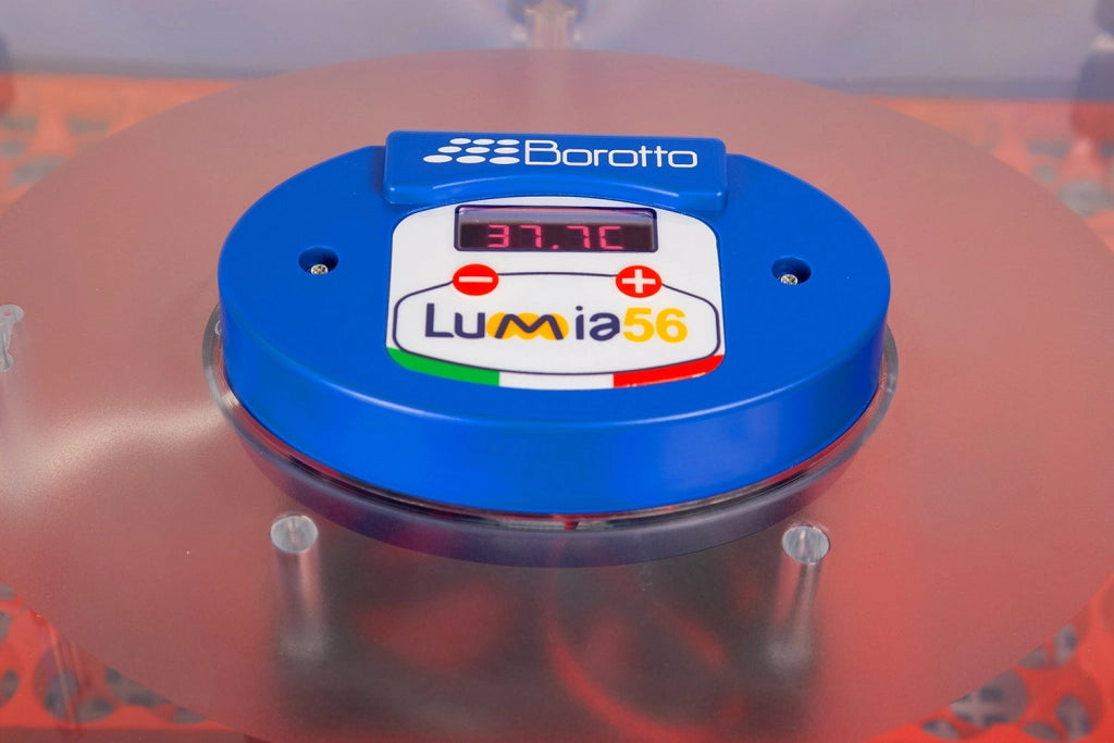 Incubatrice per Uova Professionale Borotto Lumia 56 Expert