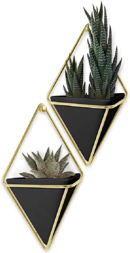 Display per parete, set da 2, Nero/dorato