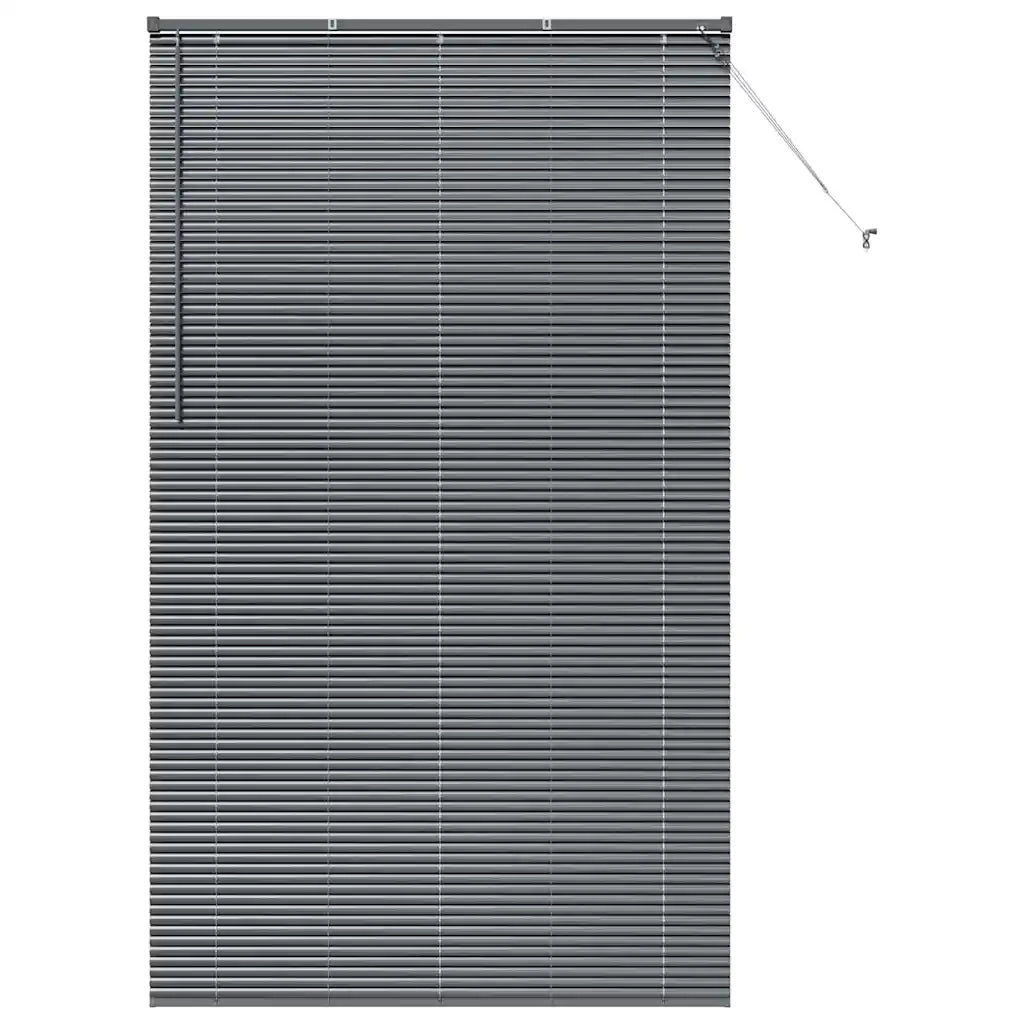 Tendaggi a veneziana Grigio scuro 220 x 135 cm Alluminio 42006104