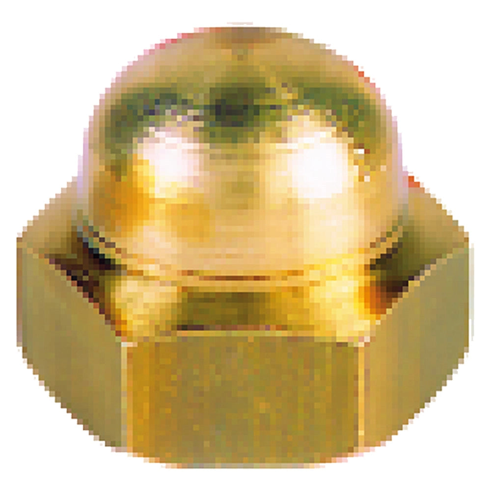 DADO CIECO ESAGONALE M 6- 500 pezzi  - BricoGo