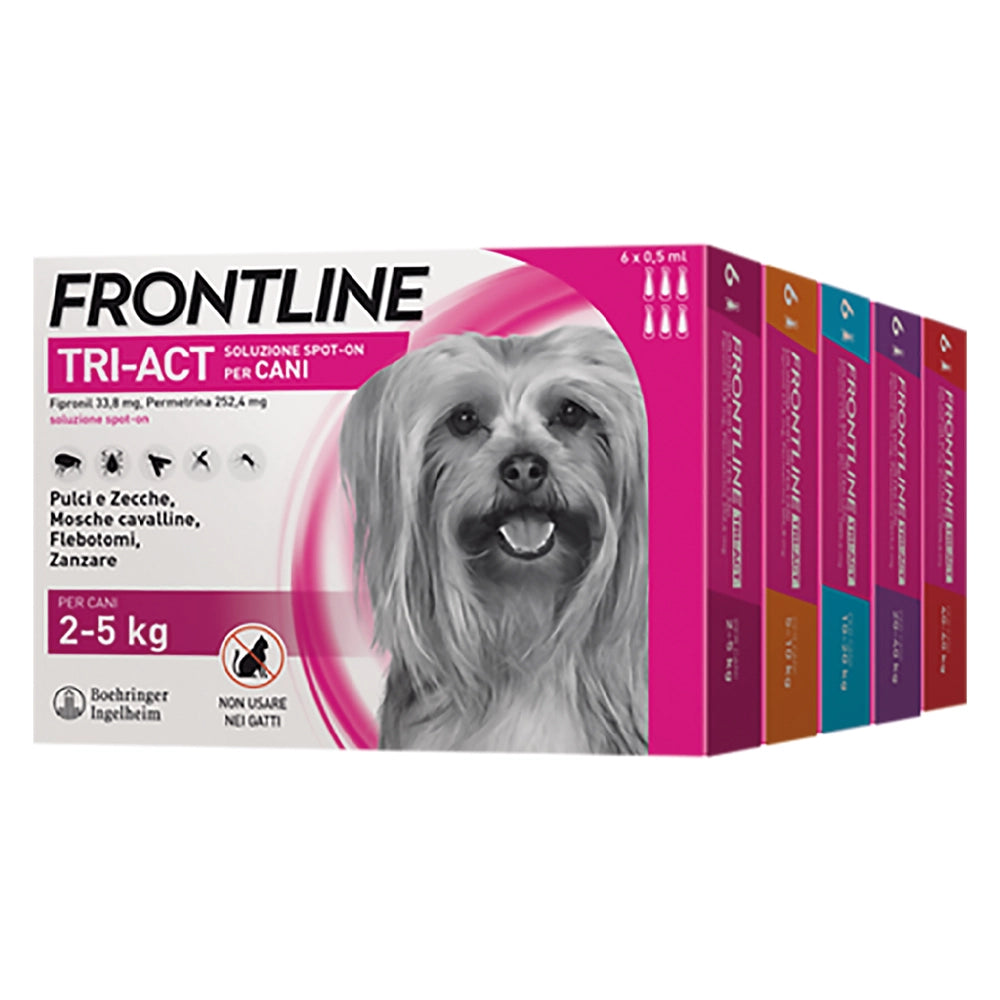 1cf antiparassitario 'frontline tri-act' cani  5/10 kg - 6 pipette ml 1 cod:ferx.6800652nlm