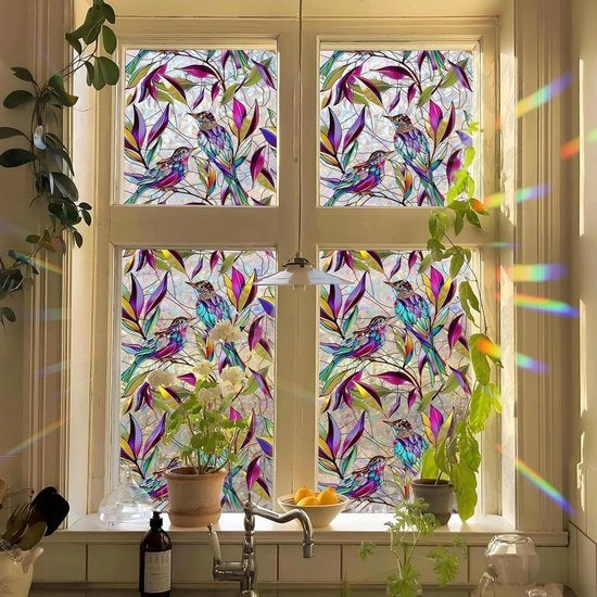 Vetrina autoadesiva con Kolibrie, foglia e fiori, adesivo per vetri anti-urto e decorativo - 45 x 100 cm