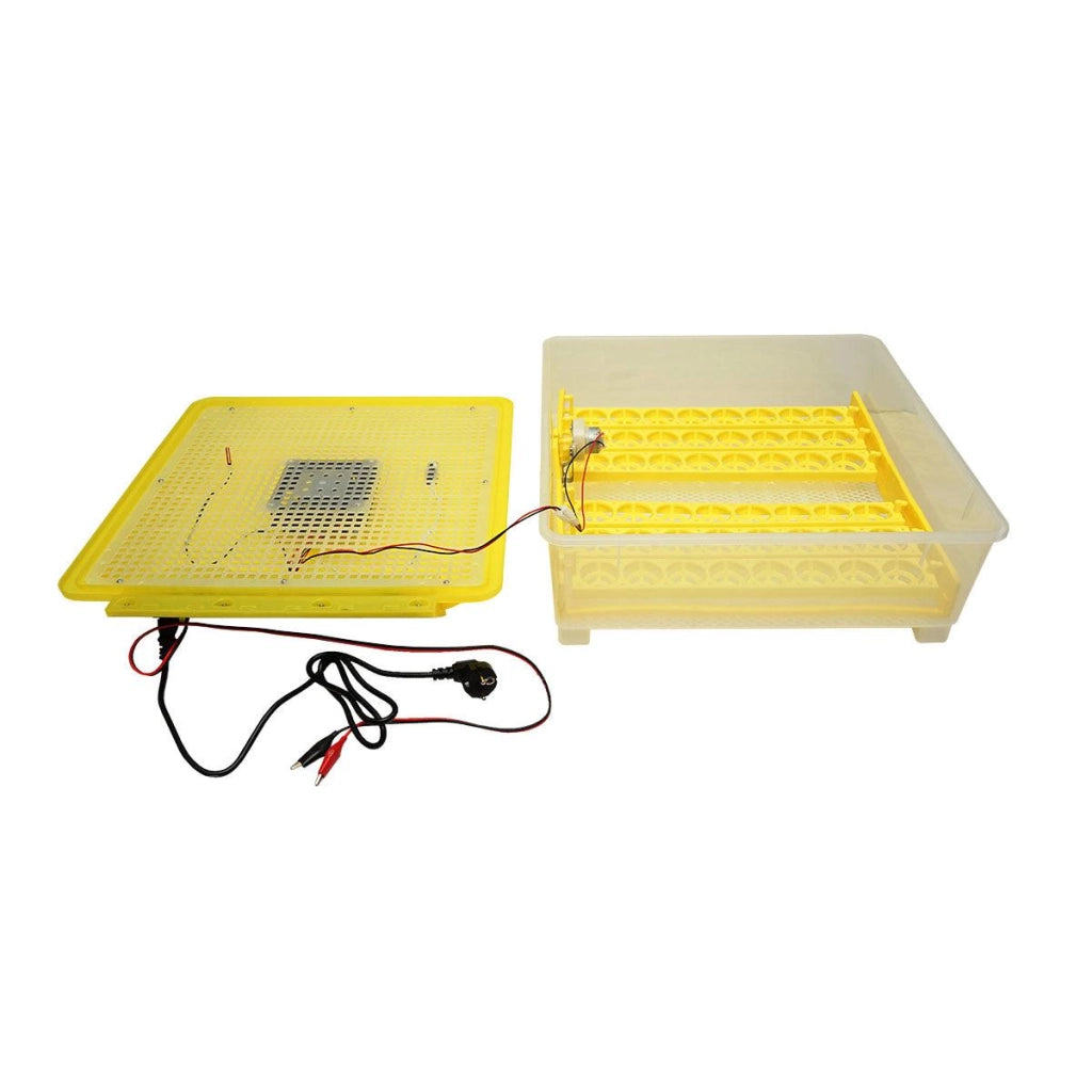 Incubatrice per uova automatica incubatrice 48 uova EW-48 Breckner Germany