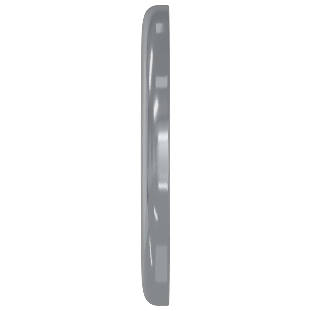 Rondelle 52941 pcs Argento Ferro 864459
