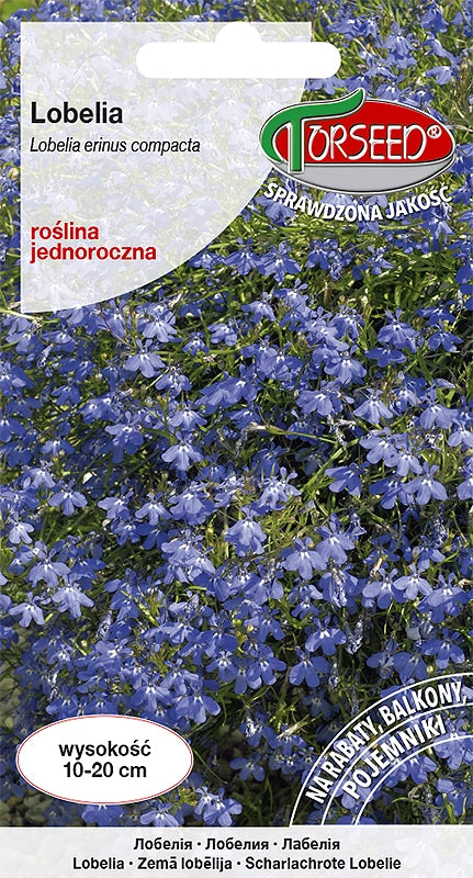 Lobelia (Stroiczka) - Lobelia er. Comp azzurro 0,2g