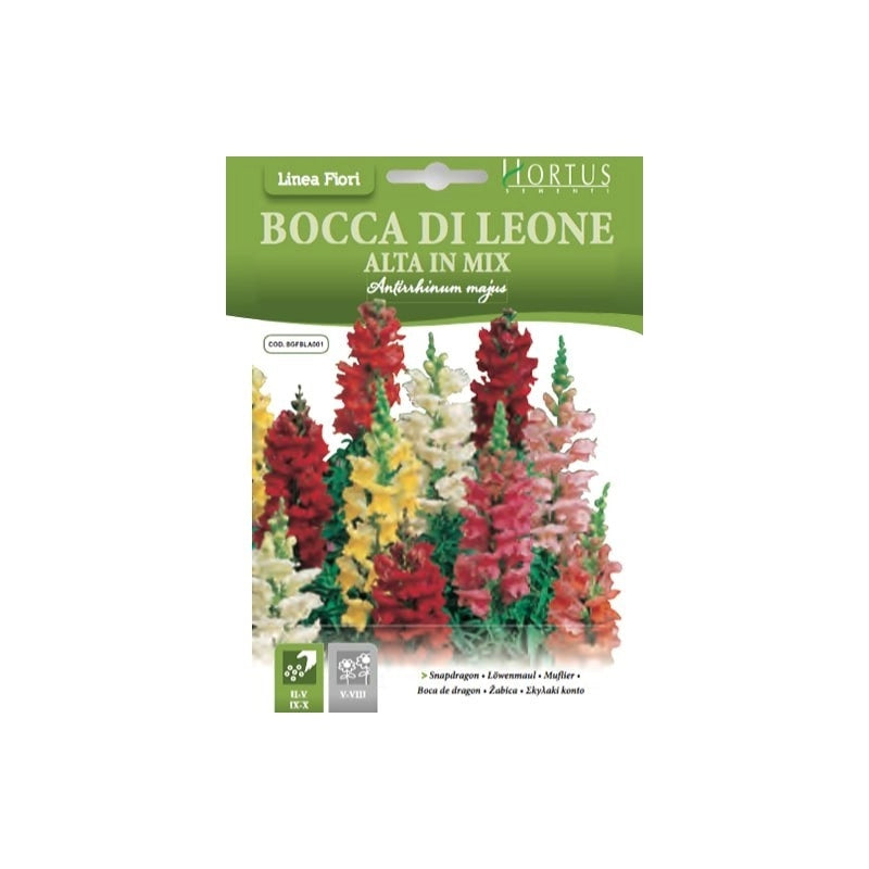 Bocca di leone alta mix DB
