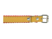 COLLARE PER CANI CUOIO FODERATO- - cm.33x1,2 - 5 pezzi IL CAMPO