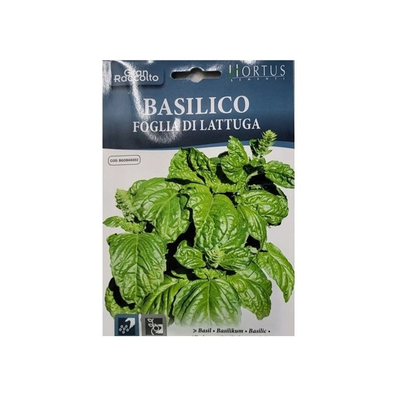 Basilico foglia di lattuga Gran Raccolto