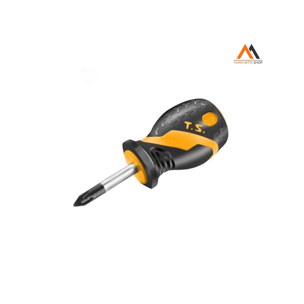 CACCIAVITE MINI PHILLIPS PH2X38