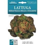 Lattuga Meraviglia delle 4 stagioni Gran Raccolto