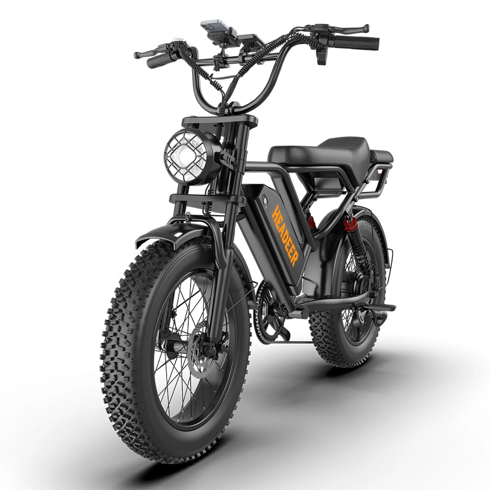 Fat bike elettrica pieghevole BK20 250W batteria 48V 20Ah 25 km/h autonomia 80 km pneumatici 20x4.0 sospensione freni a disco IPX4 150 kg
